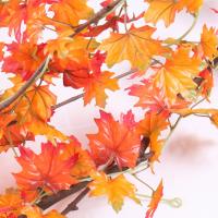 uploads/erp/collection/images/Home Garden/CongDing/XU0612032/img_b/XU0612032_img_b_1